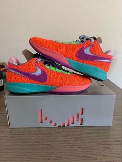 LeBron Nike shoes size 10.5 Brand New Ds