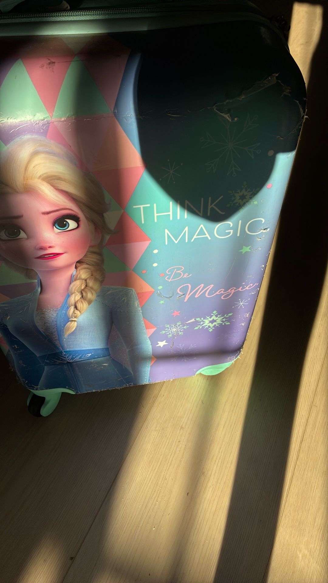 Frozen Suitcase