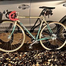 Nishiki Road bike 
