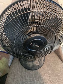 Fan