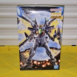 NIB Bandai Gundam MG 1/100 GX-9901-DX Double X