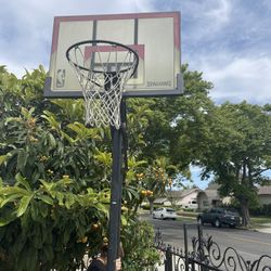 Basketball Hope 