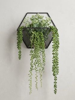 Multiple items