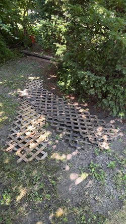 4 sheets of lattice