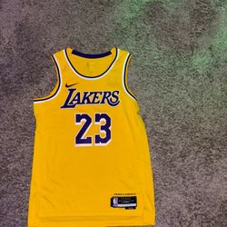 LEBRON JAMES JERSEY (LARGE)