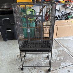 Big bird Cage