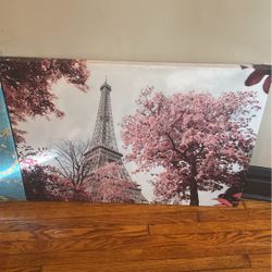 Pink Picture