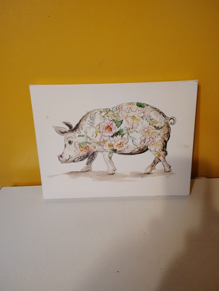 Cute Pig Picture