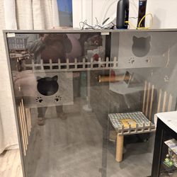 Cat Enclosure 