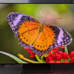 Samsung Older 65 Inch TV 3000$ Retail Price