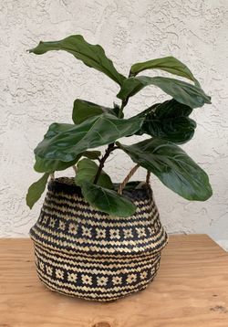 Black Natural Seagrass Belly Basket - boho decor