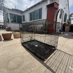 Large Dog Cage
