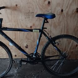 Blue Black Bike