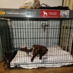 Dog Cage
