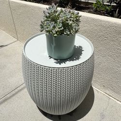 Ottoman & plant