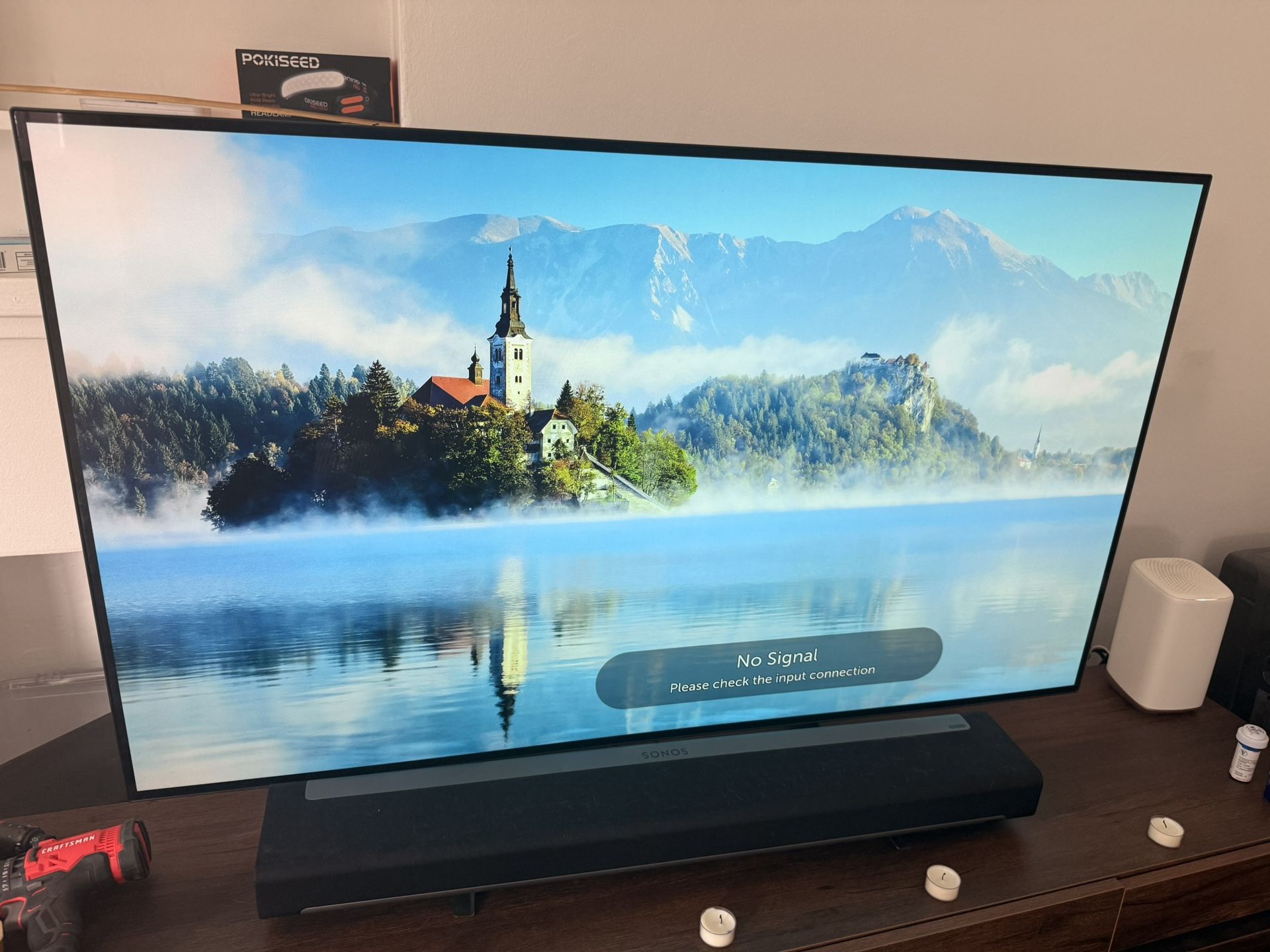 Beautiful 55 Inch Oled Priced To Sell