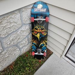 Tony Hawk Skateboard