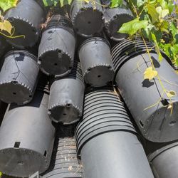 Nursery  plant pots .