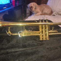 vintage trumpet  🎺 O