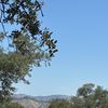 Modesto 