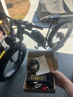 29” E Bike