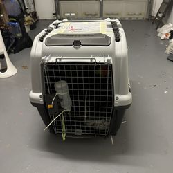 Dog Travel Box
