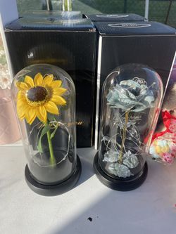 Valentine’s Rose Domes