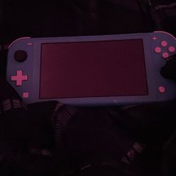 switch lite
