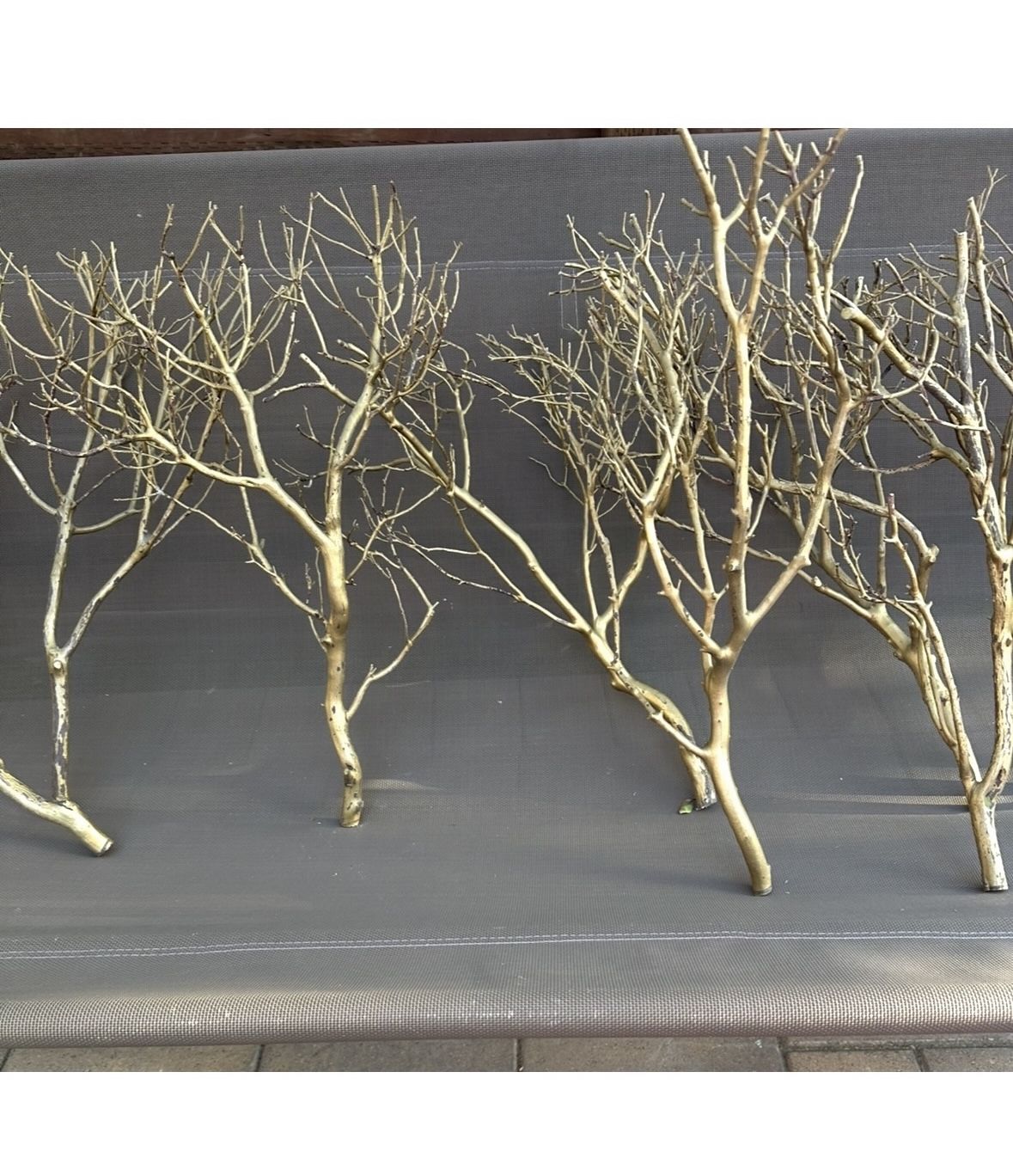Real Wood Branches