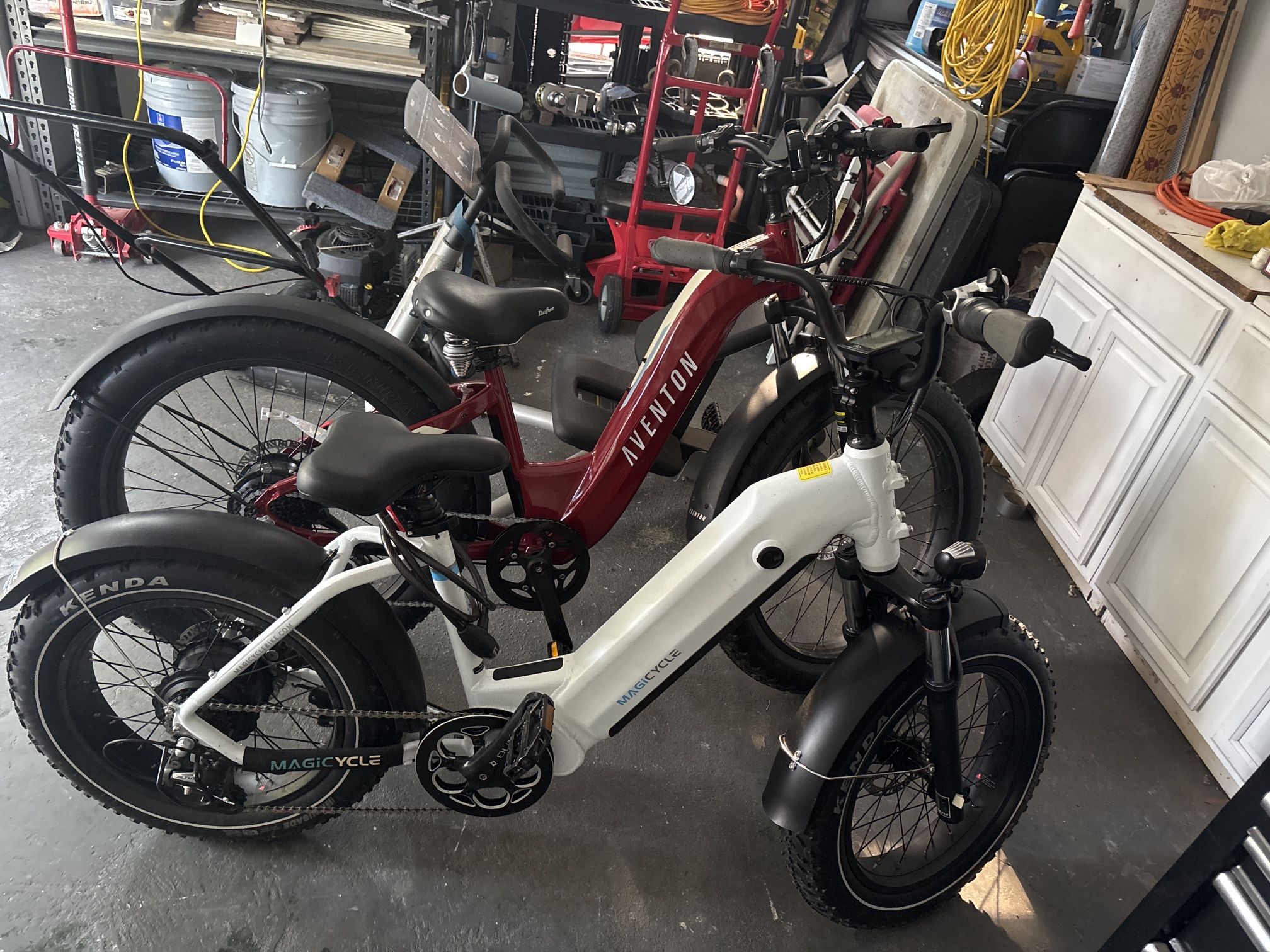 Electric Bikes 