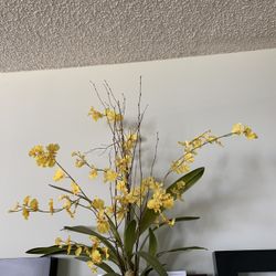 Fake Orchid
