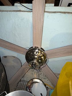 Ceiling Fan