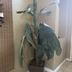 Fake Plant