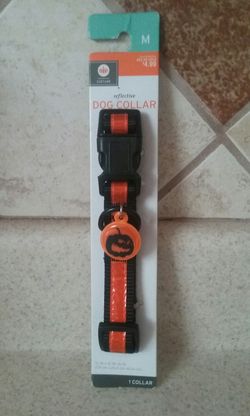 Halloween Dog Collar