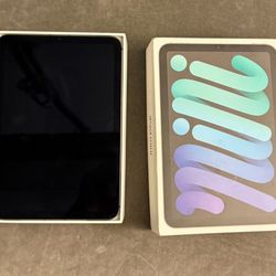 Apple Ipad mini 
