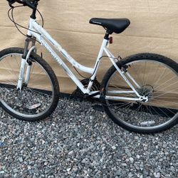 Road Master Mountain Bike