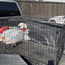 Dog cage for small and middle size dogs