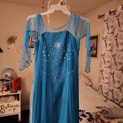 New Elsa Costume   Women's Large