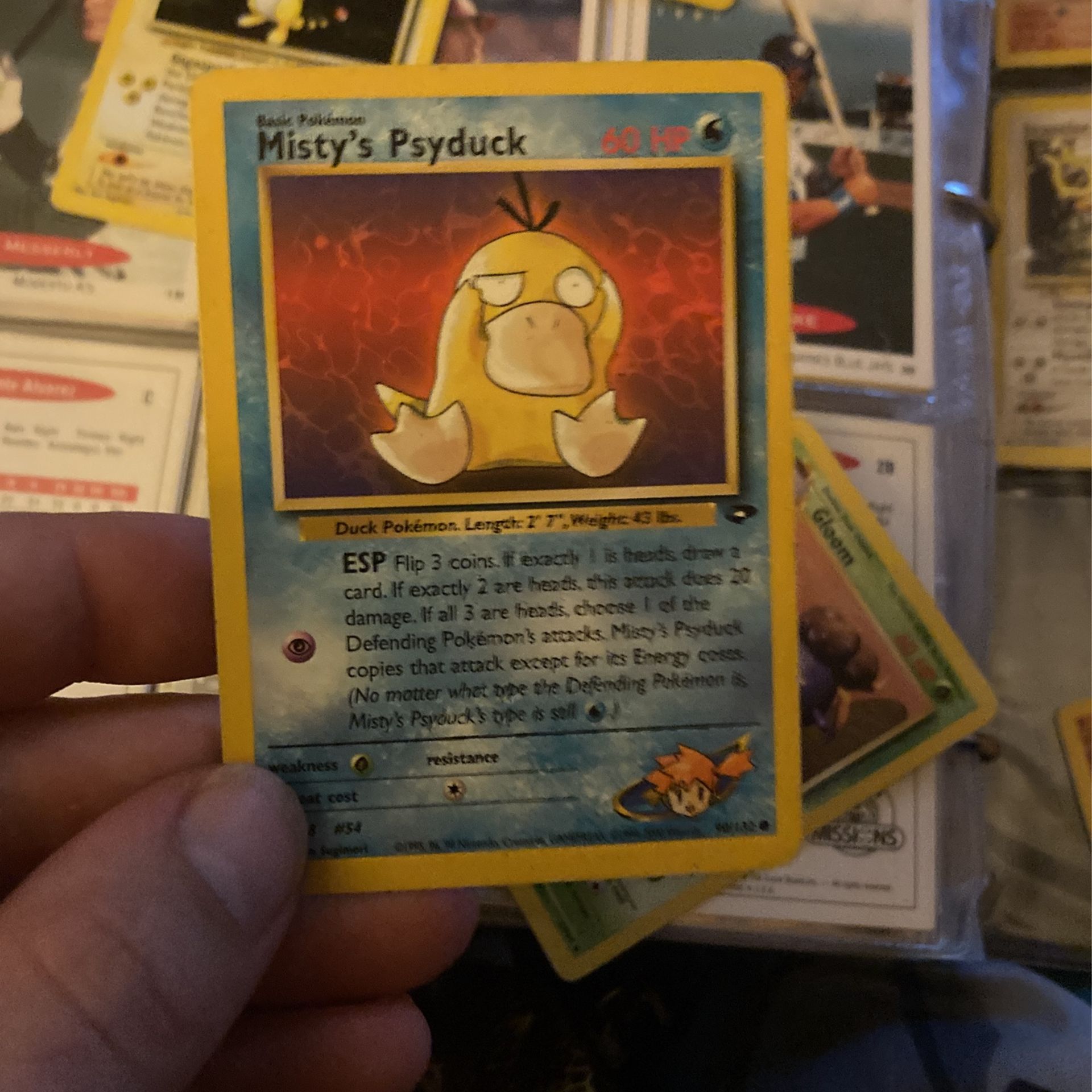 Misty’s Psyduck 60 HP