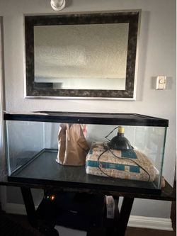 Tank for reptile