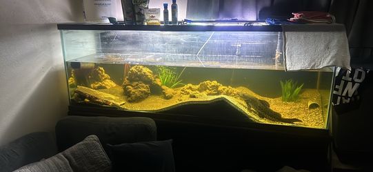 150 Gallon Tank With Stand