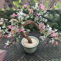 Vintage 1950s Jade Bonsai Tree
