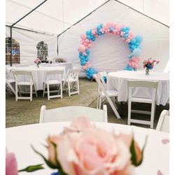 Gender Reveal balloon Garland 