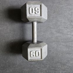 Single 60lb Metal Hex Dumbbell--