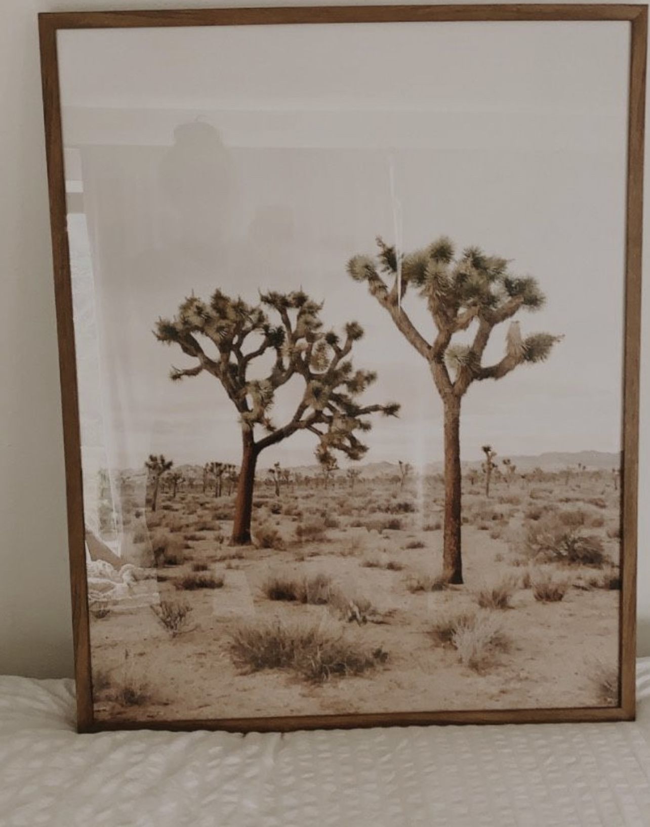 Framed Joshua Tree Print