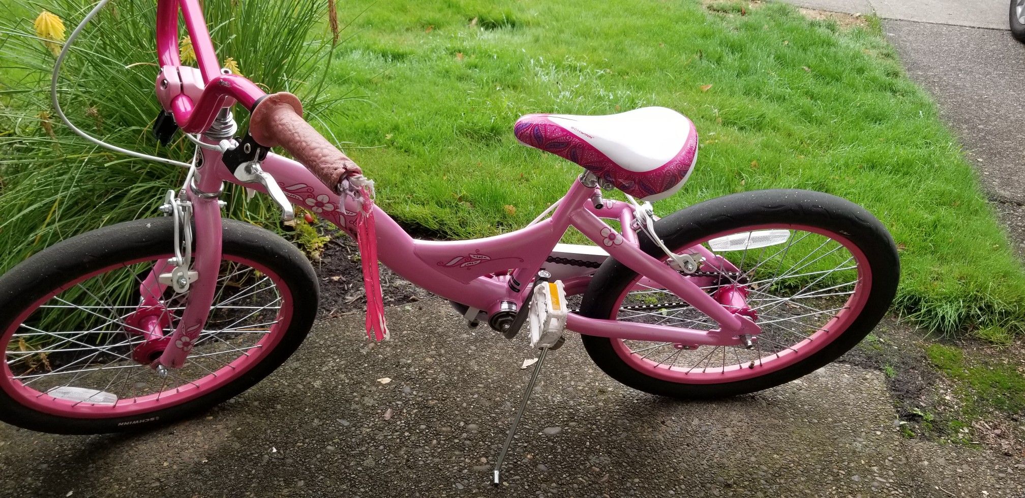 Schwinn Kids Bike