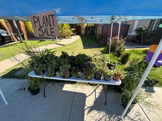 Plant sale 10/29