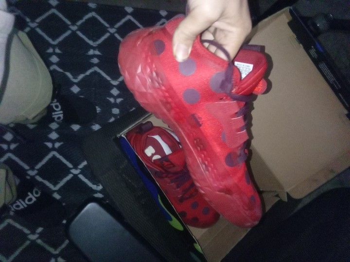 Nike Hardens With box