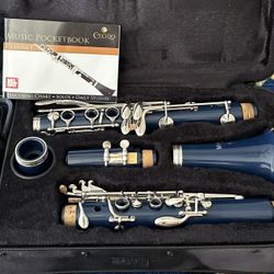 Clarinet with carry case in excellent condition- Low Price. $60