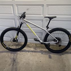 2020 chameleon cheap santa cruz